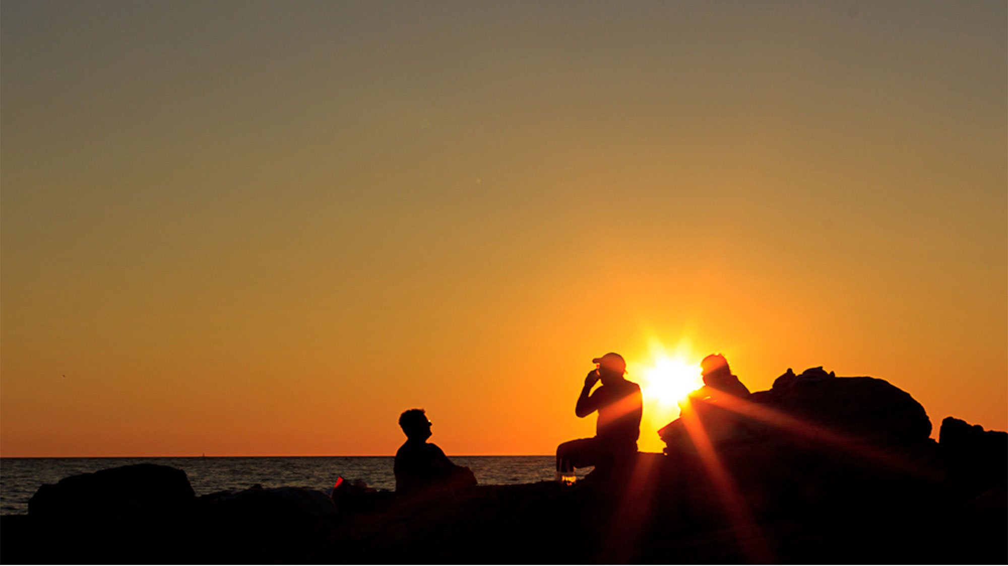 biglietti_davisita_bio