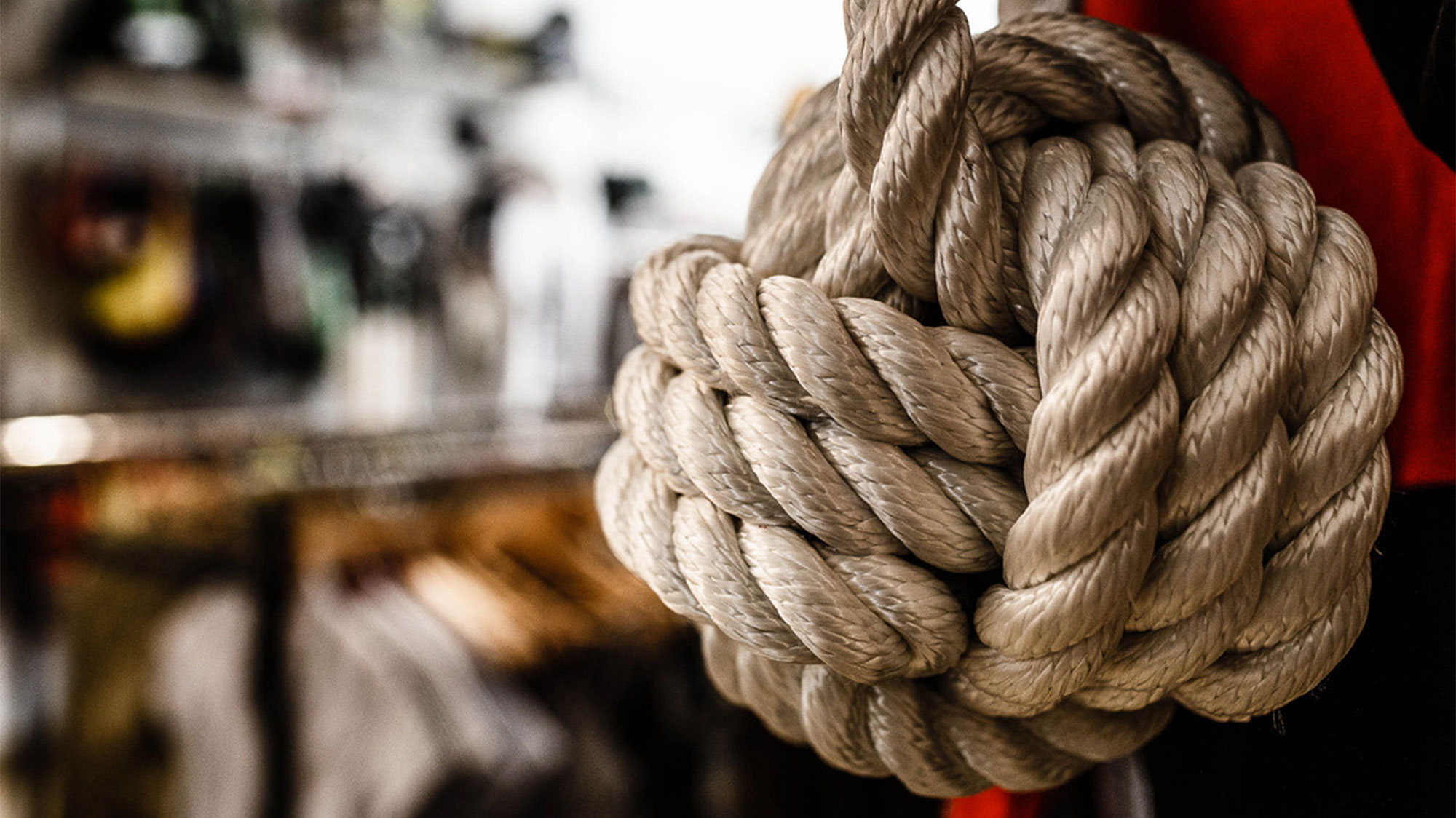 biglietti_davisita_bio